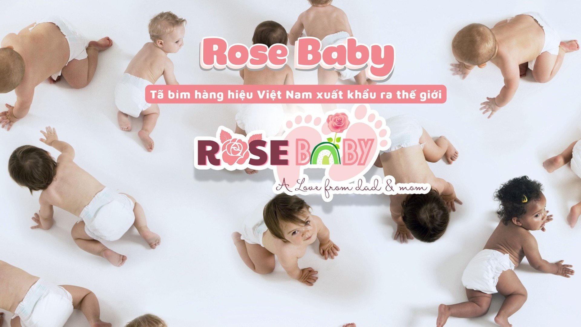 Tã dán ROSE BABY size L 2 banner bim rosebaby