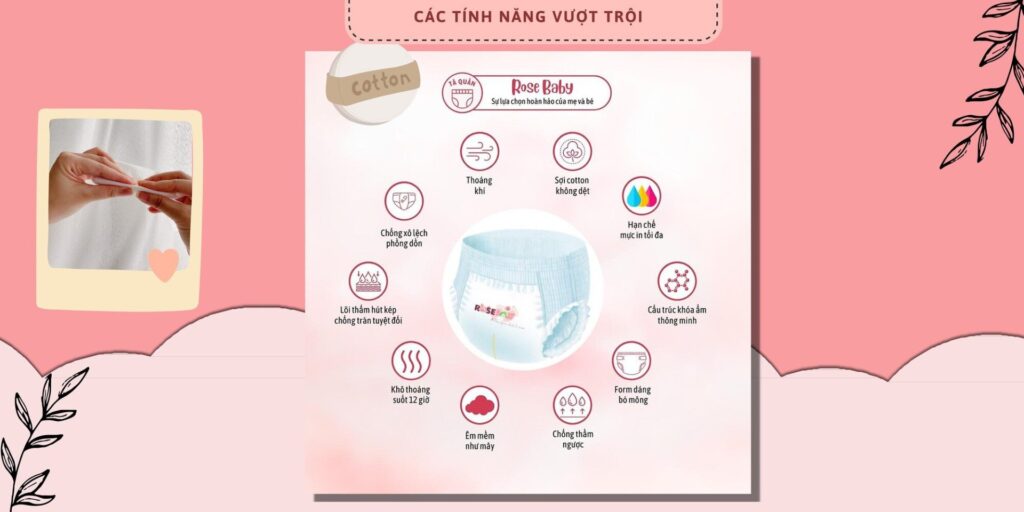 Catalogue Rose Baby